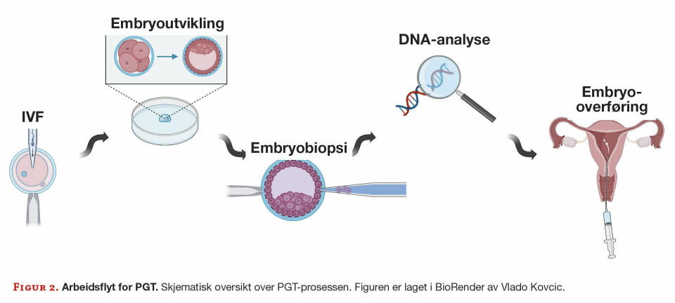 Preimplantasjonsgenetisk testing: Figur 2. PGT-arbeidsflyt. Skjematisk oversikt over PGT-prosessen. Figuren er laget i BioRender av Vlado Kovcic.