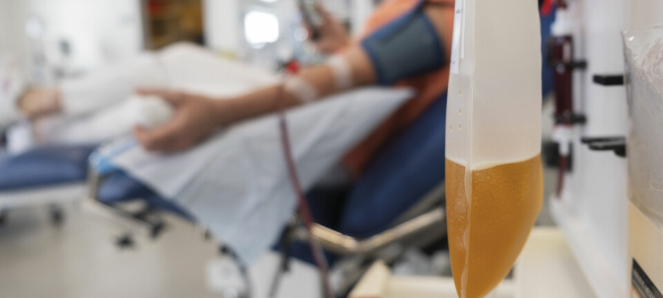 Norge må tappe minst fire ganger mer plasma for å bli selvforsynt