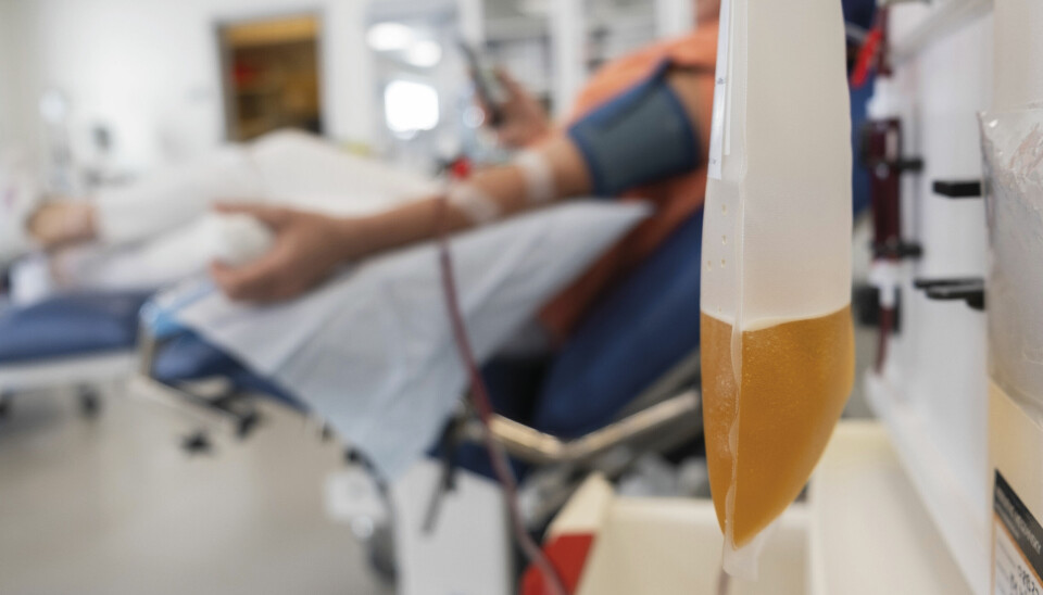 Norges plasmaunderskudd er relativt sett enda større enn EUs. Det er vanskelig å si med sikkerhet nøyaktig hvor stort underskuddet er. Plasmaaferese, pasient i stol