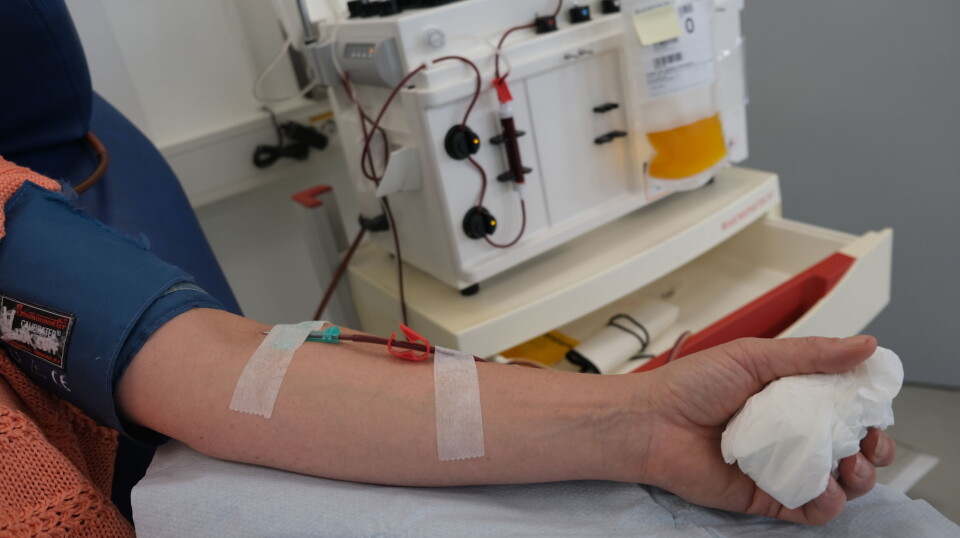 Norge leverer 50 000 liter plasma til fraksjonering hvert år. Det er litt mindre enn det Danmark produserte for ti år siden. Plasmaferese