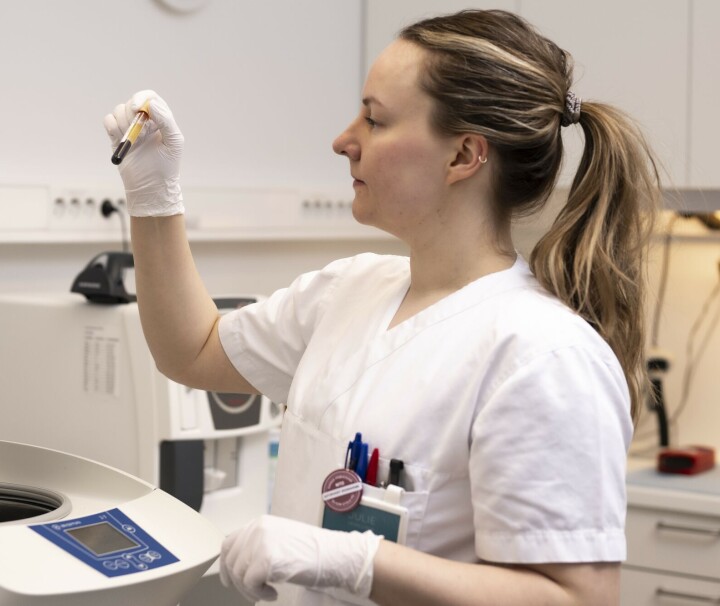Mer bioingeniørfaglig kompetanse i kommunene er ett av BFIs satsingsområder. Bioingeniør på laboratorium med blodprøve. Illustrasjonsfoto til kampanjen for å få bioingeniørkompetanse ut i primærhelsetjenesten.