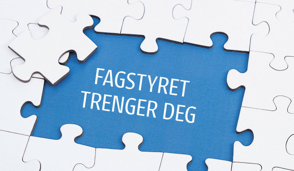 Valg i BFI: Tar du utfordringen? Puslespill, brikker