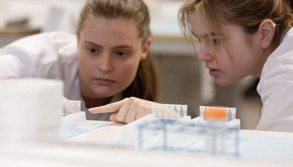 Bioingeniørstudenter ved Høgskulen på Vestlandet (arkivfoto). Studenter på lab, Høgskulen på Vestlandet