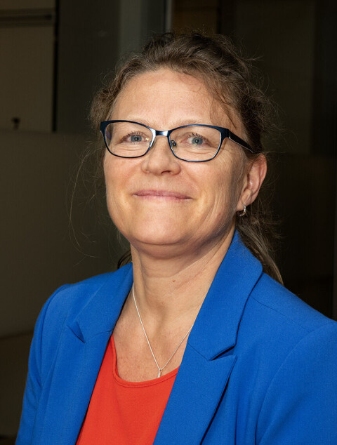 Koordinerende hovedutprøver i Impress-Norway, Åslaug Helland. Åslaug Helland, kreftforsker på OUS