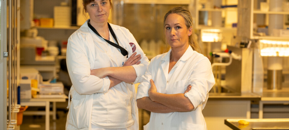Statsbudsjettet: Ris - og litt ros - fra NITO BFI Kaja Marienborg og Heidi Andersen