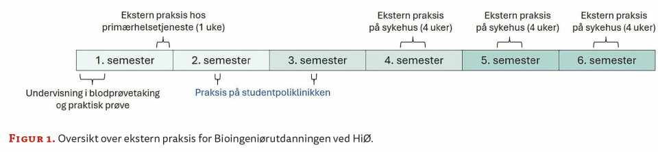 Erfaring med etablering av studentdrevet poliklinikk
Et samarbeid mellom Høgskolen i Østfold og Sykehuset Østfold