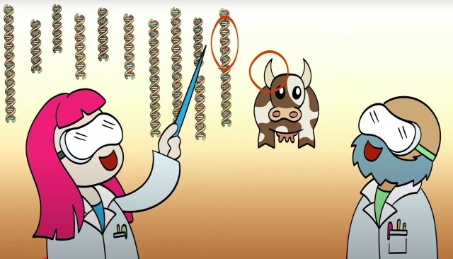 Animasjonsvideo om CRISPR