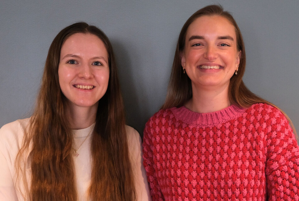 Elvida Skare Andrews (til venstre), Beathe Børresen og Jenny Præsterud (ikke til stede) laget rømmerom (escape room) som del av bacheloroppgaven sin. Elvida Skare Andrews (til venstre), Beathe Børresen og Jenny Præsterud (ikke til stede) laget rømmerom (escape room) som del av bacheloroppgaven sin.