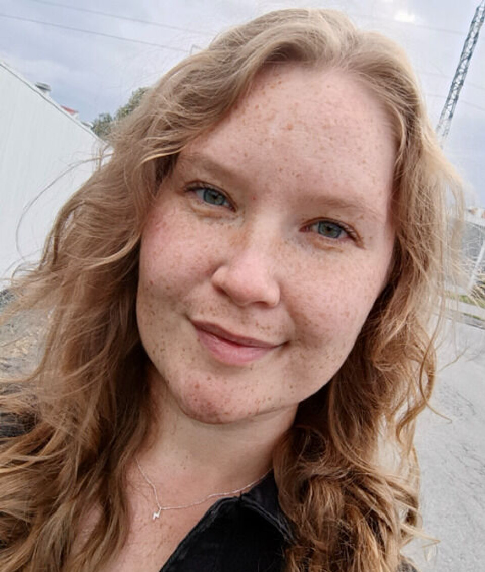 Les om kandidatene til yrkesetisk råd