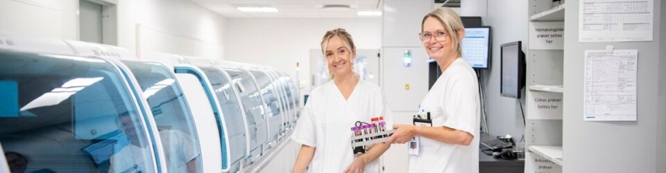 Bioingeniør