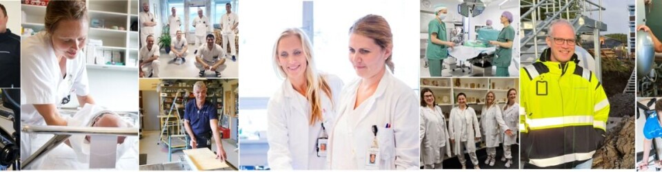 Bioingeniør