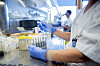 Blåhansket laboratoriearbeider håndterer prøverør ved en laboratoriebenk.